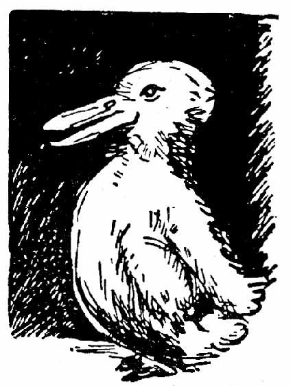 duck-v-rabbit-5.jpg