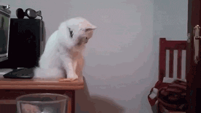 e5b0486d866644d29d4bfe70e08852b0.gif