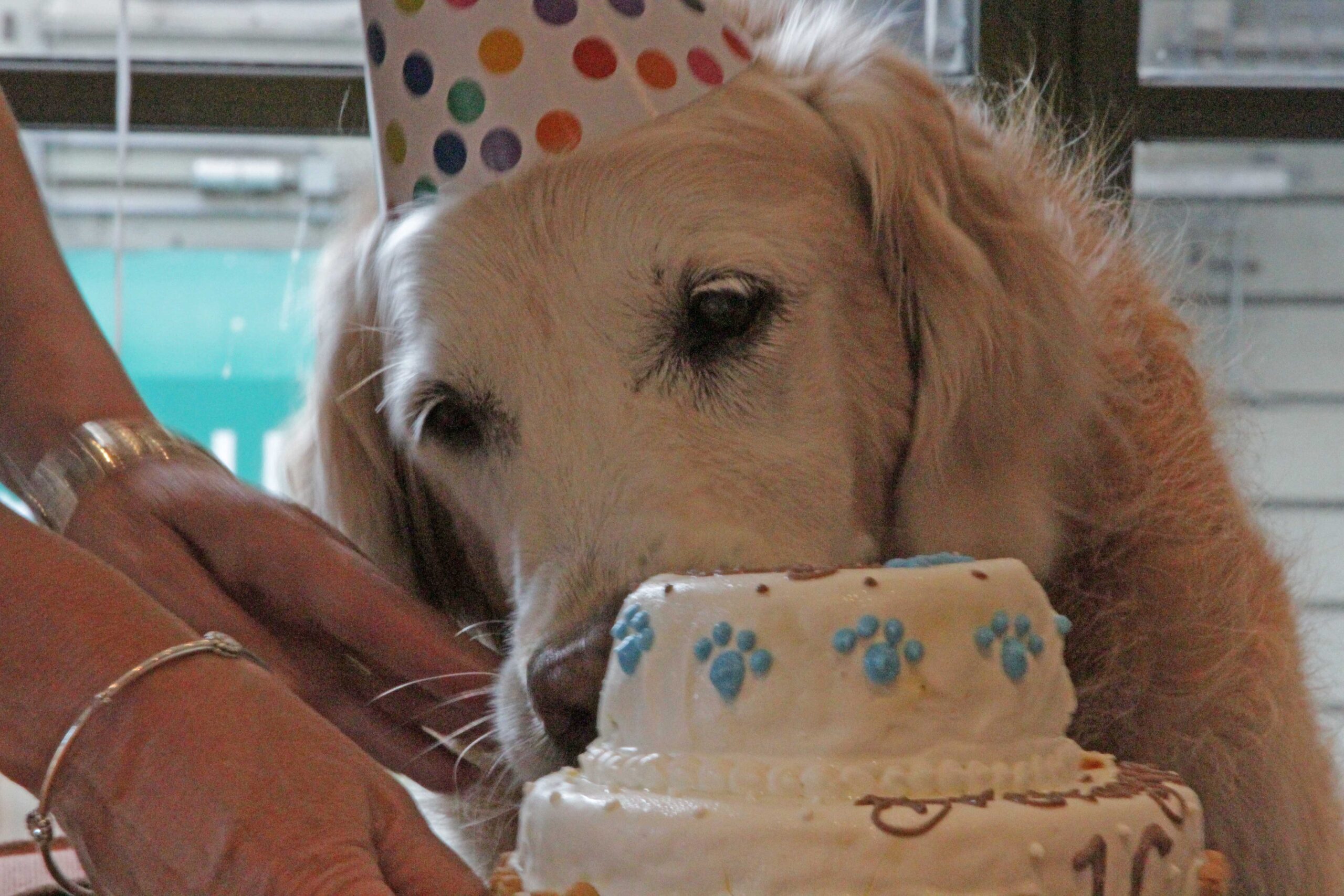 eating-cake_web.jpg