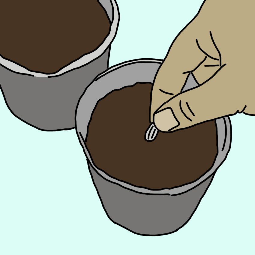 eczemaremedies_850px_9.jpg