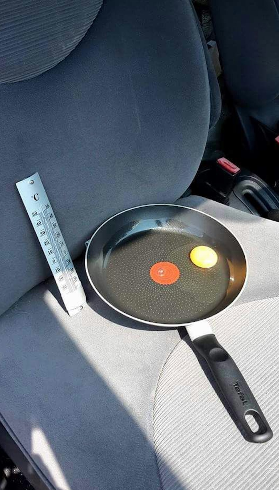 egg-1.jpg