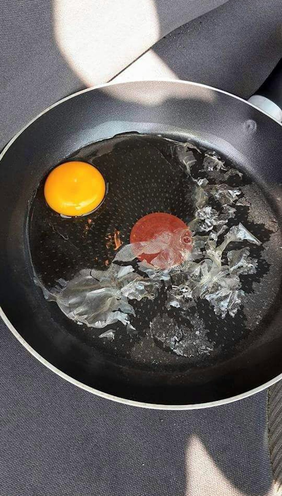 egg-3.jpg