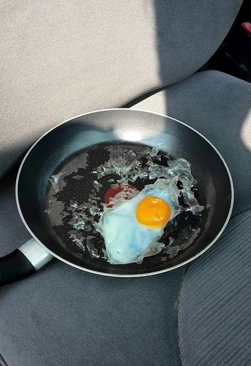 egg-4.jpg