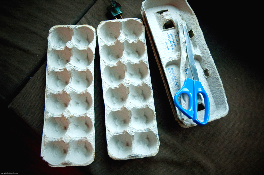 egg-cartons.jpg