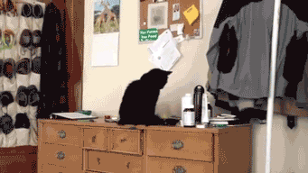 ekhGH.gif