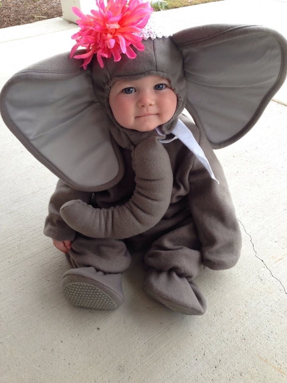 elephant-2.jpg