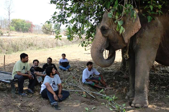 elephantrescue_e.jpg