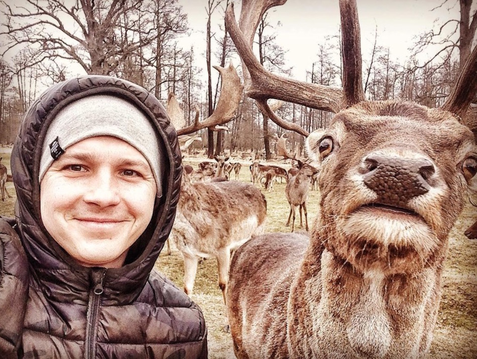 elk.jpg