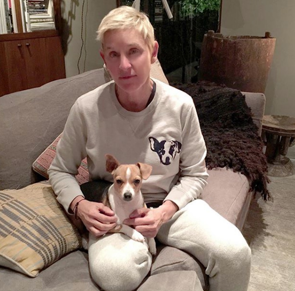 ellen-6.jpg