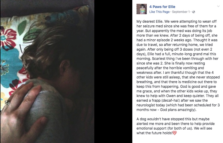 ellie-fb.jpg
