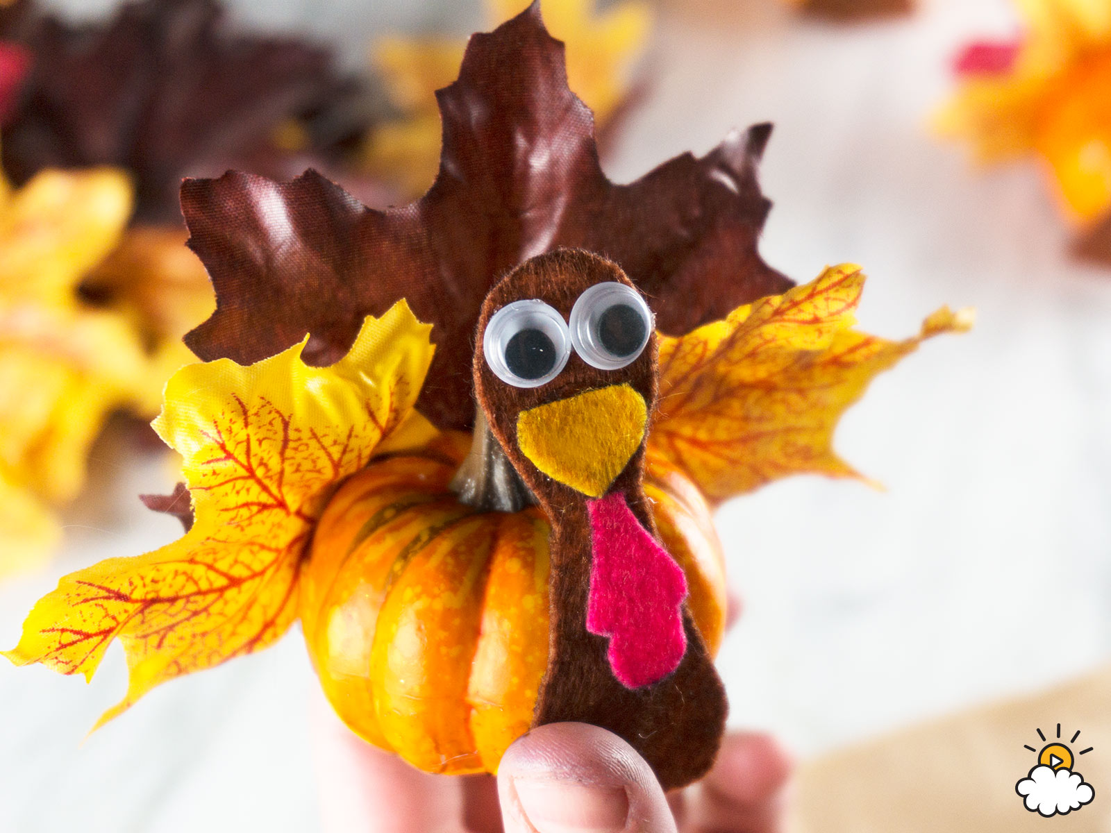 embeddedBlogIMG_PumpkinTurkeys_1600x1200px_16.jpg