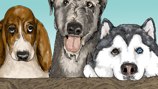 embeddedHPIMG_DogBreedHealthProblems_1280x627px