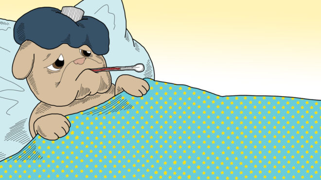 embeddedHPIMG_SickPetSigns_1280x627px