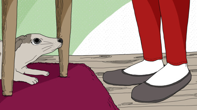 embeddedHPIMG_StressedDogSigns_1280x627px