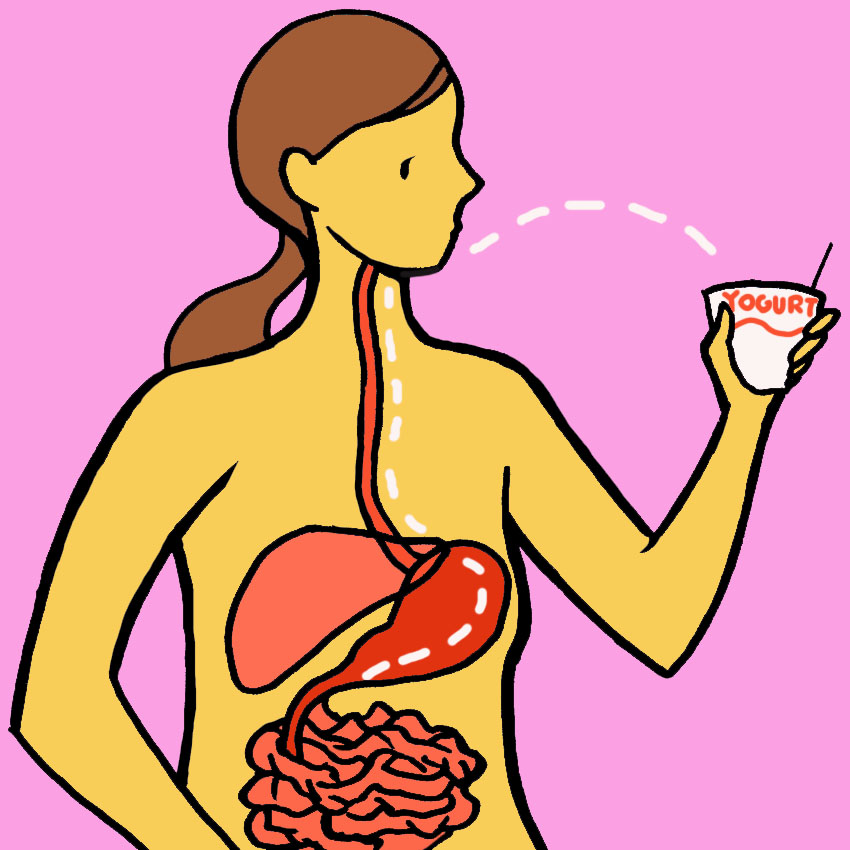 embeddedIMG_BenefitsOfYogurt_850px_3.jpg