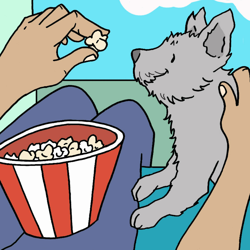 embeddedIMG_CanDogsEatPopcorn_850px_6.jpg