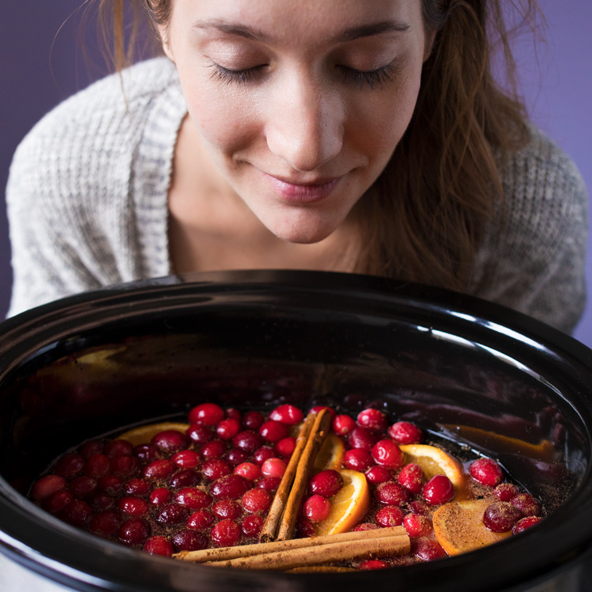 embeddedIMG_CrockPotPotpourri_850px_8.jpg