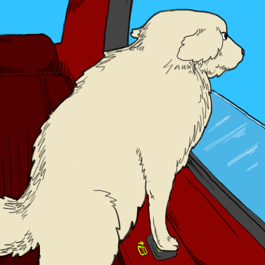 embeddedIMG_DogHeadCarWindow_850px_4.jpg