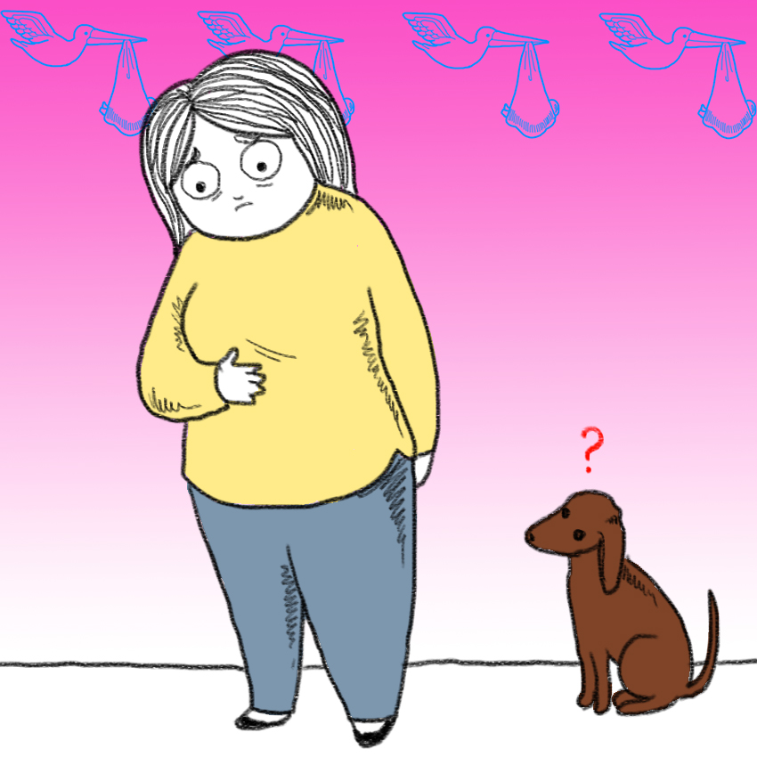 embeddedIMG_DogKnowsYourePregnant_850px_4.jpg
