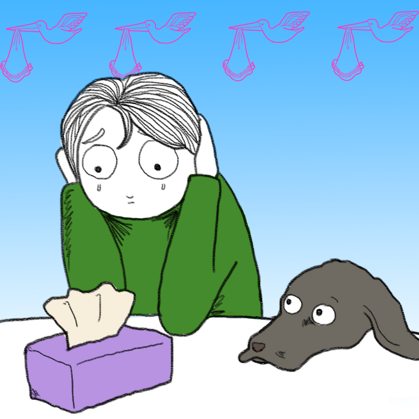 embeddedIMG_DogKnowsYourePregnant_850px_5.jpg
