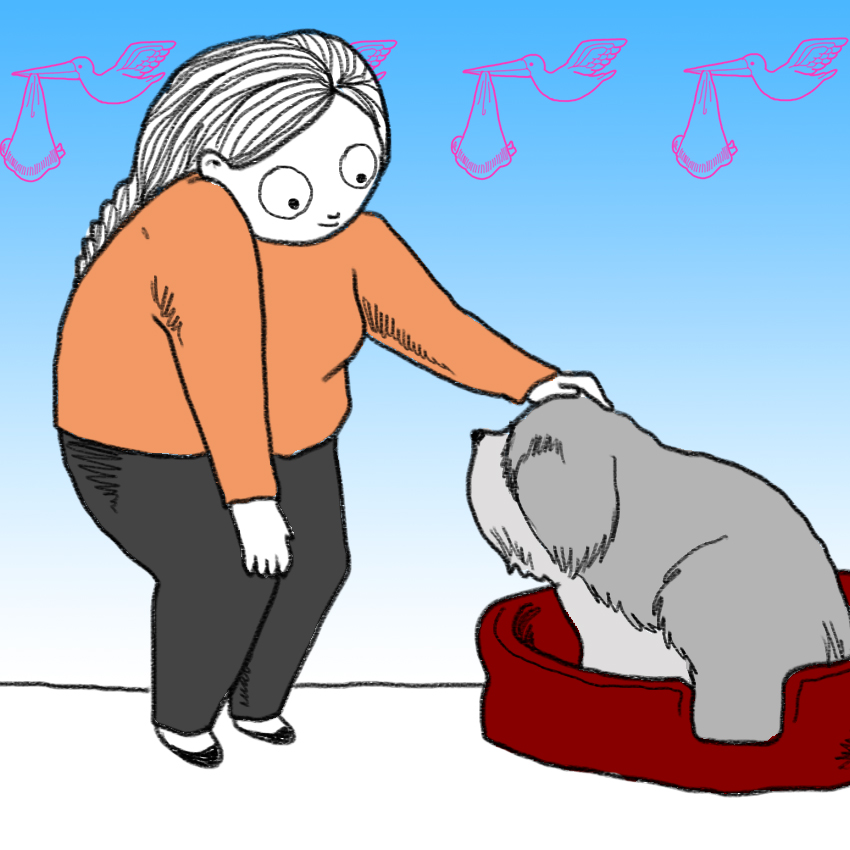 embeddedIMG_DogKnowsYourePregnant_850px_9.jpg