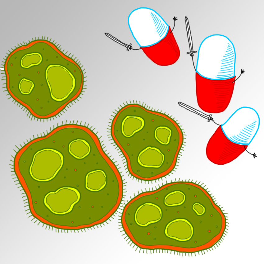 embeddedIMG_DontDoOnAntibiotics_850px_1.jpg