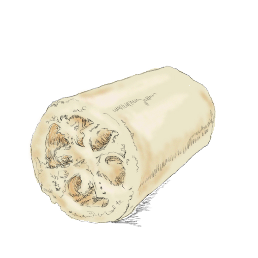 embeddedIMG_ExpirationDates_850px_4.jpg