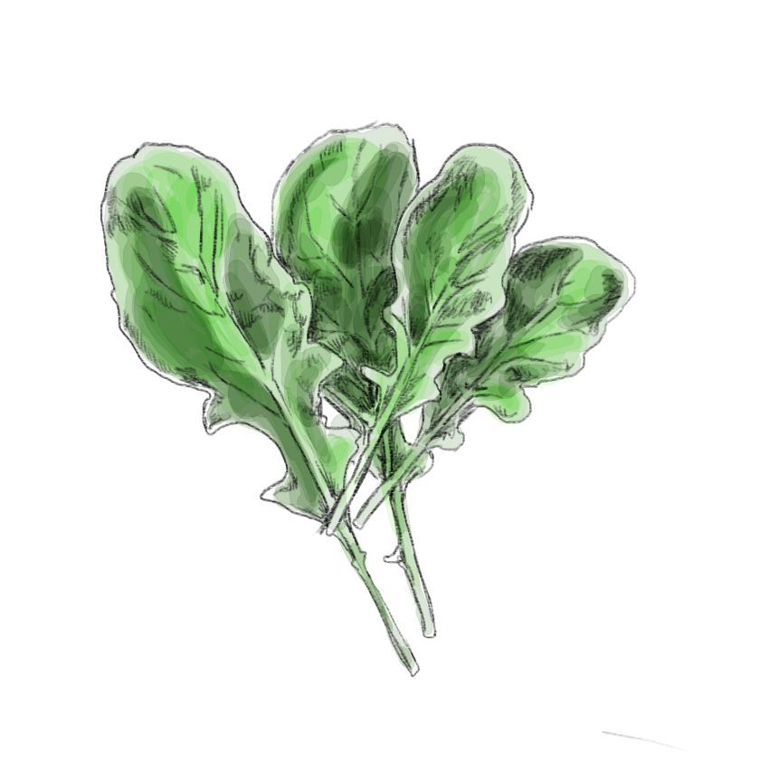 embeddedIMG_FoodToGetYouInTheMood_850px_12.jpg embeddedIMG_FoodToGetYouInTheMood_850px_12.jpg