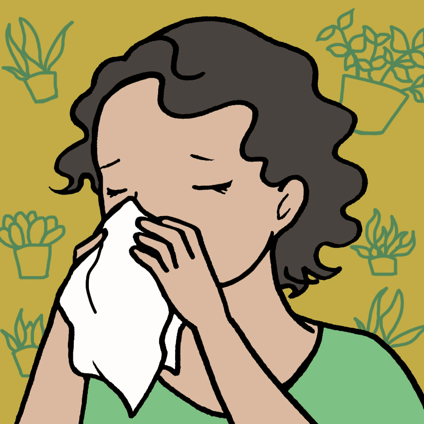 embeddedIMG_HealthBenefitsOfHousePlants_850px_3.jpg
