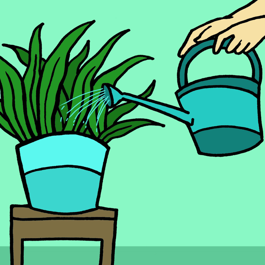 embeddedIMG_HealthBenefitsOfHousePlants_850px_6.jpg