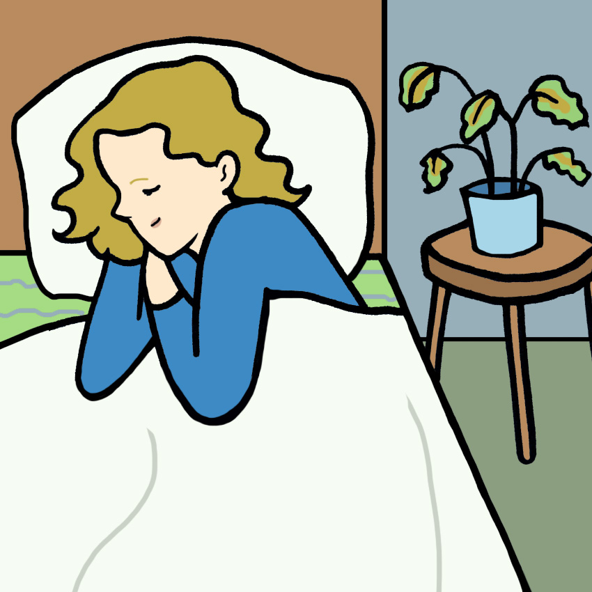 embeddedIMG_HealthBenefitsOfHousePlants_850px_7.jpg