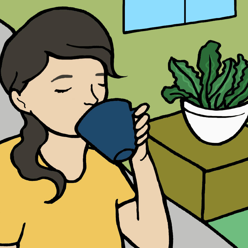 embeddedIMG_HealthBenefitsOfHousePlants_850px_9.jpg