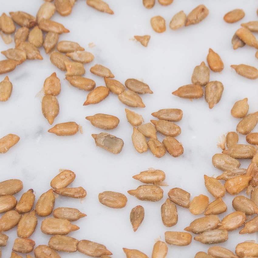 embeddedIMG_HealthySeeds_850px_1.jpg