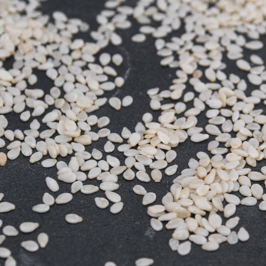 embeddedIMG_HealthySeeds_850px_4.jpg