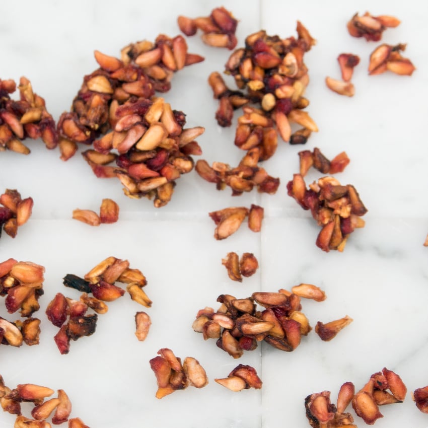 embeddedIMG_HealthySeeds_850px_7.jpg