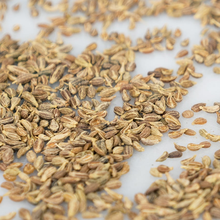 embeddedIMG_HealthySeeds_850px_8.jpg