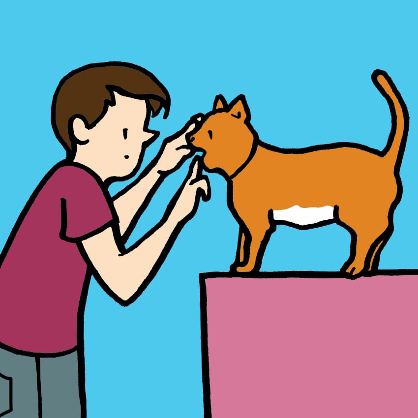 embeddedIMG_HeimlichManeuverForCatsAndDogs_850px_1.jpg embeddedIMG_HeimlichManeuverForCatsAndDogs_850px_1.jpg