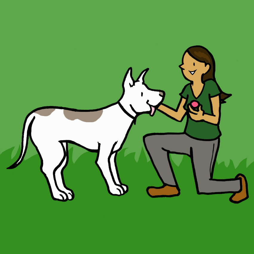 embeddedIMG_HeimlichManeuverForCatsAndDogs_850px_11.jpg