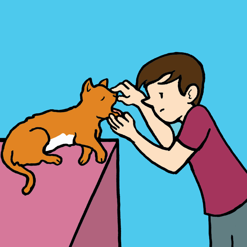 embeddedIMG_HeimlichManeuverForCatsAndDogs_850px_2.jpg
