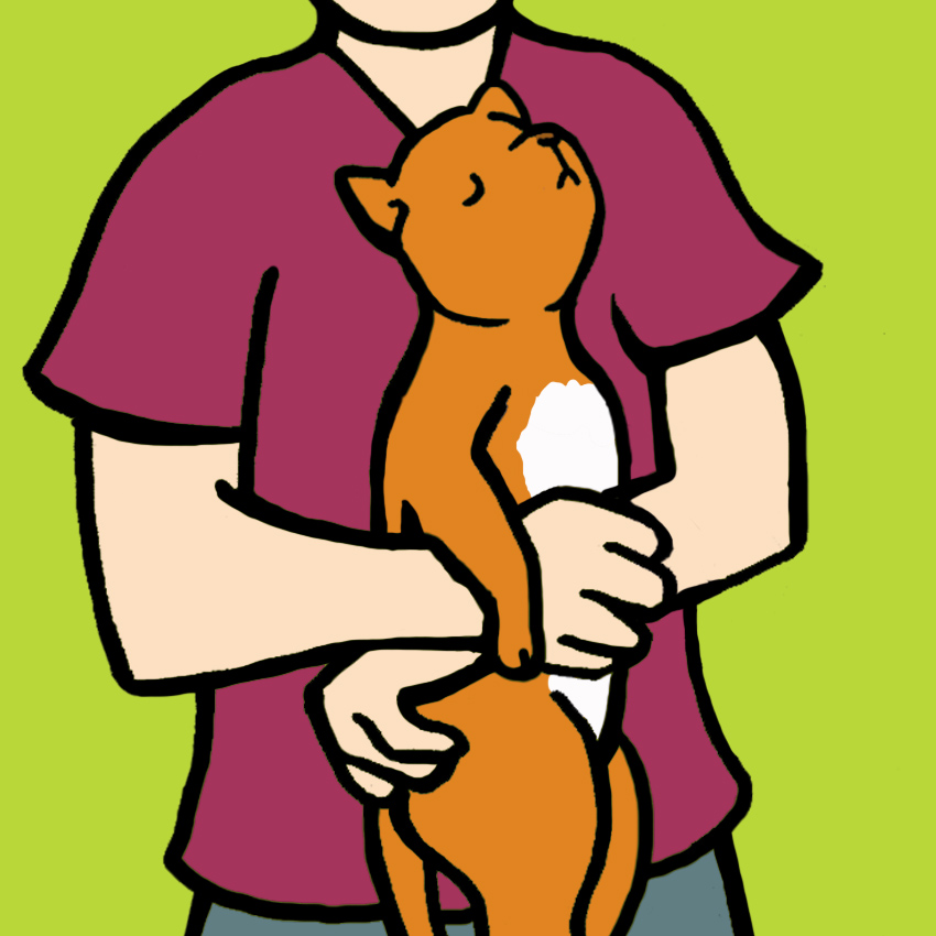 embeddedIMG_HeimlichManeuverForCatsAndDogs_850px_4.jpg