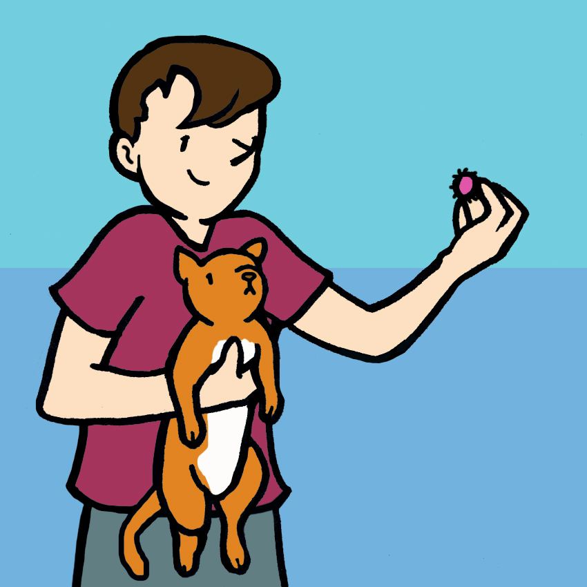 embeddedIMG_HeimlichManeuverForCatsAndDogs_850px_5.jpg