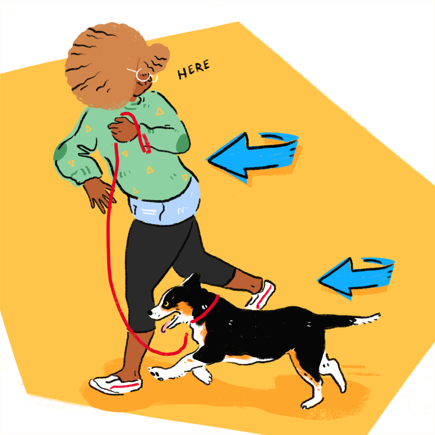 embeddedIMG_How-To-Handle-A-Puppy-With-Leash-Reactivity_850px_7.jpg