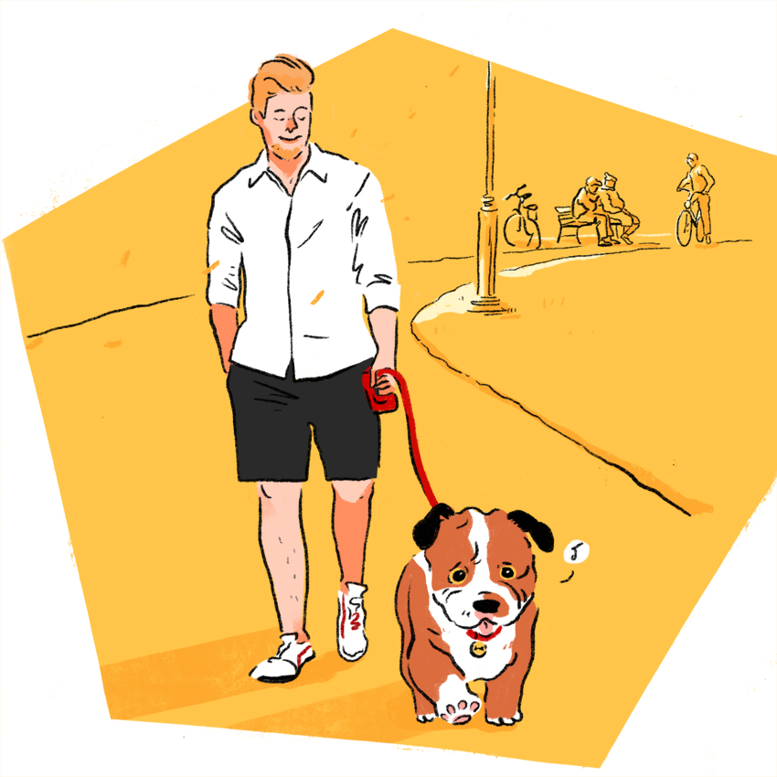 embeddedIMG_How-To-Handle-A-Puppy-With-Leash-Reactivity_850px_8.jpg