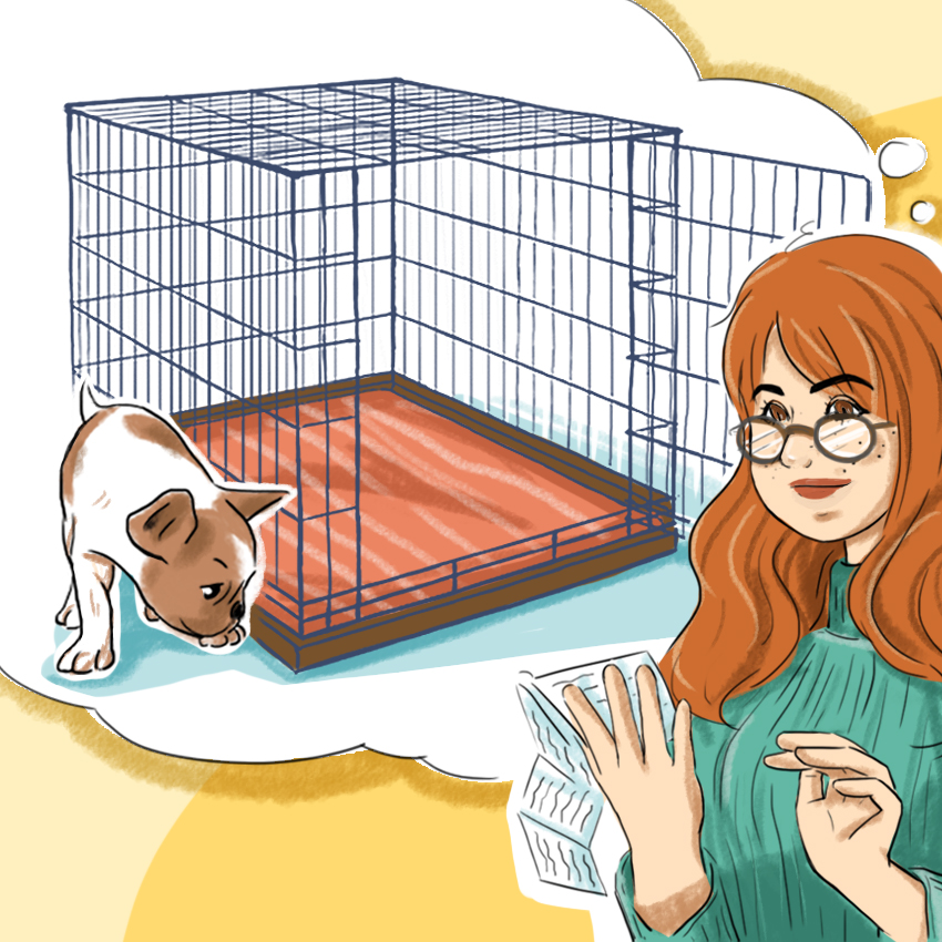 embeddedIMG_HowToCrateTrainAPuppy_850px_1.jpg