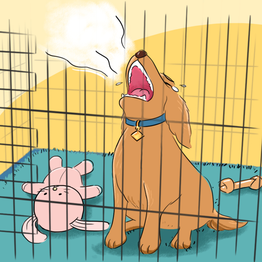 embeddedIMG_HowToCrateTrainAPuppy_850px_12.jpg