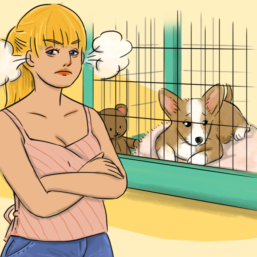 embeddedIMG_HowToCrateTrainAPuppy_850px_14.jpg