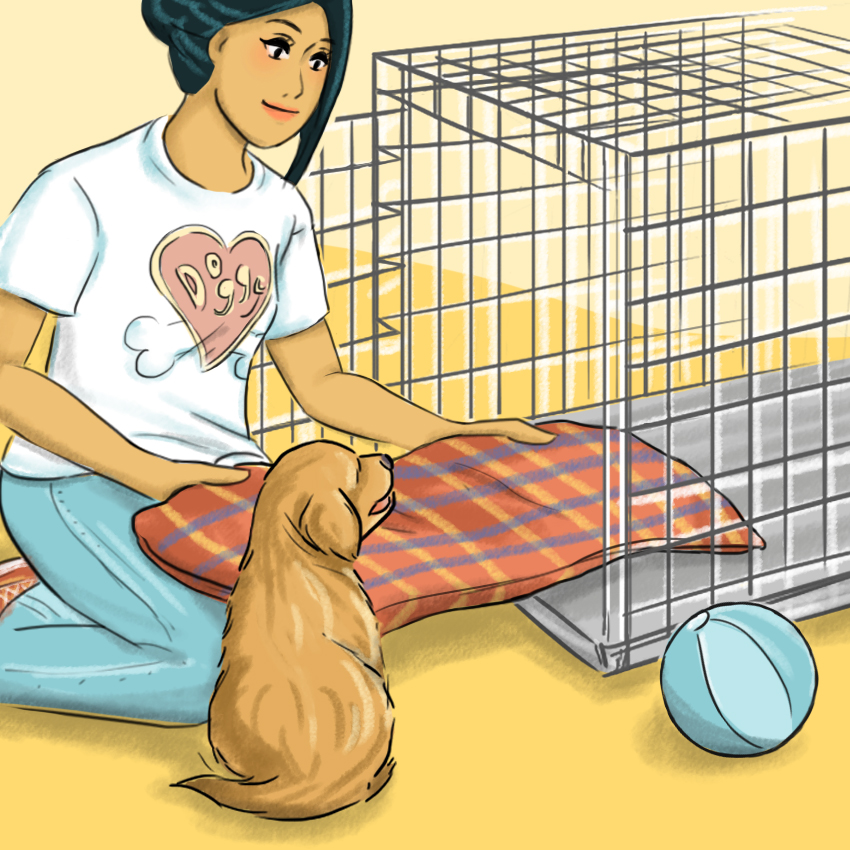 embeddedIMG_HowToCrateTrainAPuppy_850px_3.jpg