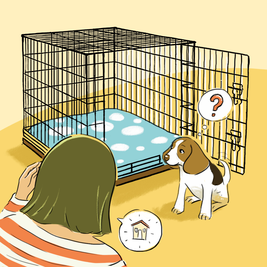 embeddedIMG_HowToCrateTrainAPuppy_850px_4.jpg