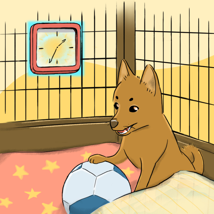 embeddedIMG_HowToCrateTrainAPuppy_850px_6.jpg