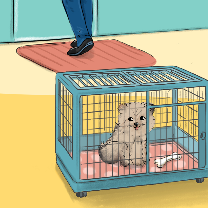 embeddedIMG_HowToCrateTrainAPuppy_850px_7.jpg